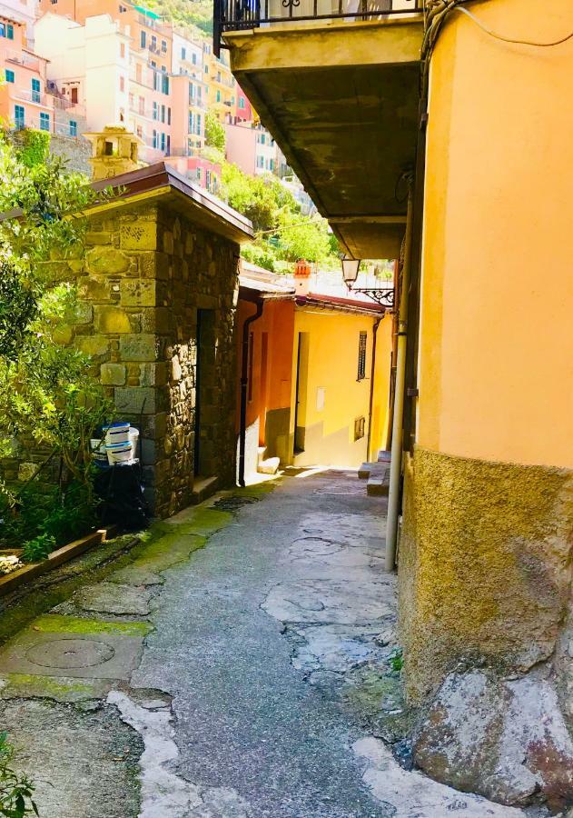 Willy'S Apartment Manarola Exteriör bild