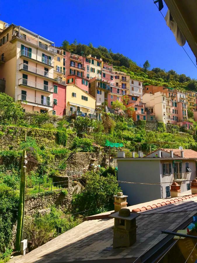 Willy'S Apartment Manarola Exteriör bild
